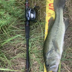 久しびりのバス釣り