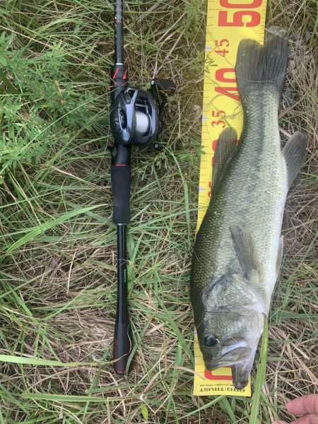 久しびりのバス釣り