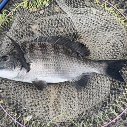 曇りで最高の釣り日和