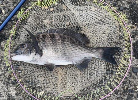 曇りで最高の釣り日和