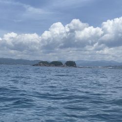 カヤックでアカハタ祭り