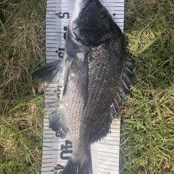 イチノ兄弟、釣果!