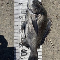 イチノ兄弟、釣果!