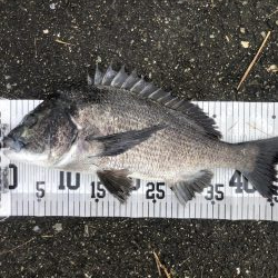 イチノ兄弟、釣果！