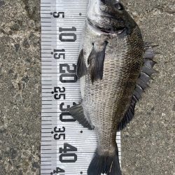 イチノ兄弟、釣果!