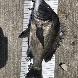 イチノ兄弟、釣果！