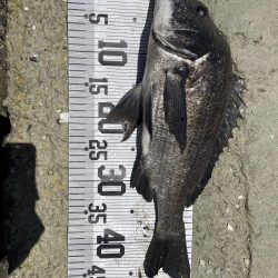 イチノ兄弟、釣果!