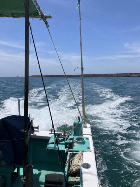 カゴ釣り日和