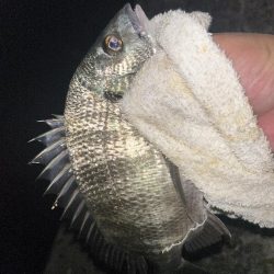 青流して自己記録！