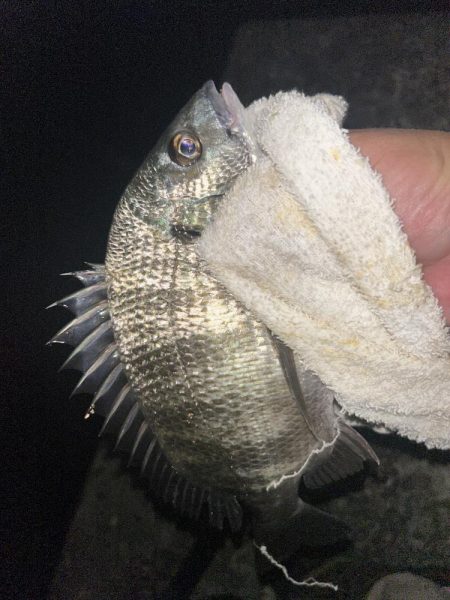 青流して自己記録！