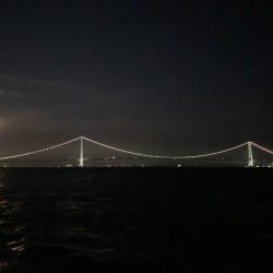 大サバとグレ狙い