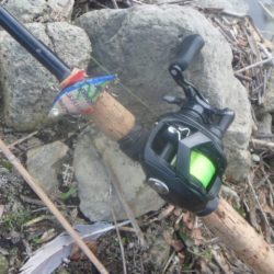 そよ風バス釣り