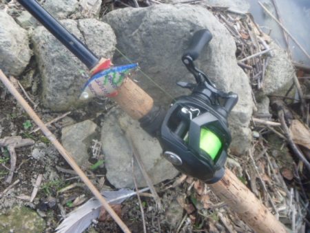 そよ風バス釣り