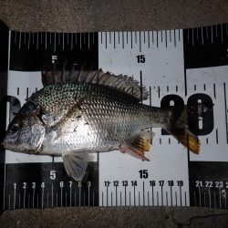 サイズが小さくなってるようで…