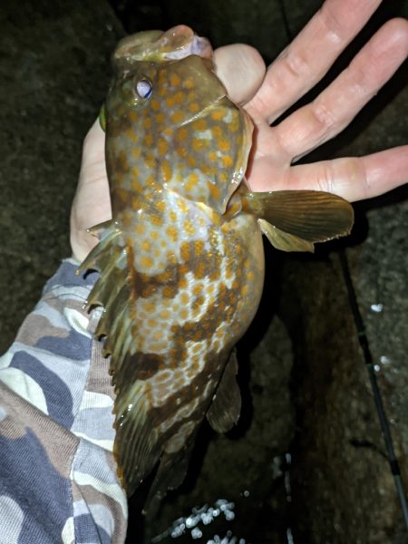 今シーズンワースト