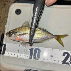 アジつ抜け達成