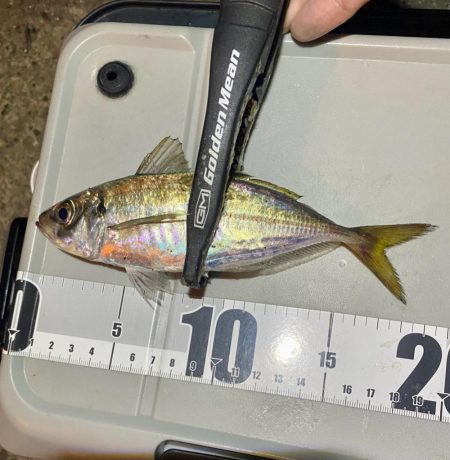 アジつ抜け達成