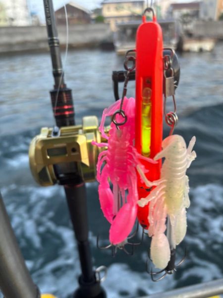 タコ　中型以上がパラパラ