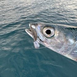 仕事終わりのボートアジング