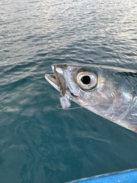 仕事終わりのボートアジング