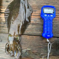 3度目の三重遠征ヤエン釣りにてキロover!