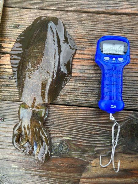 3度目の三重遠征ヤエン釣りにてキロover!