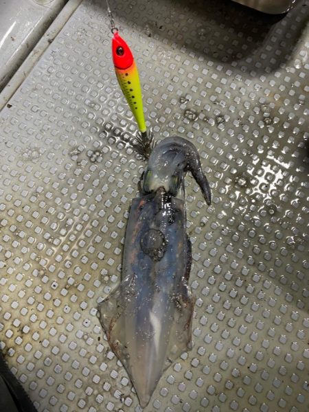 日本海イカメタル