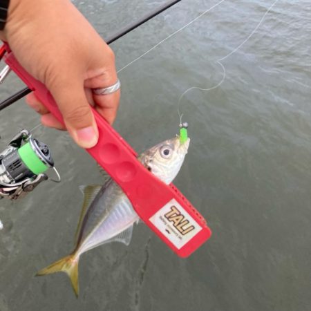 ディープアジング