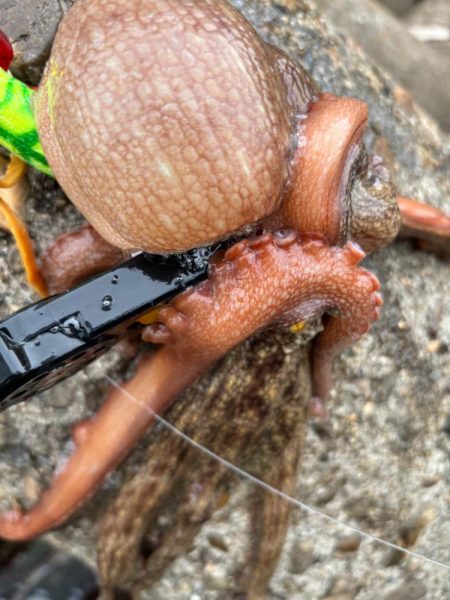 オクトパッシング10