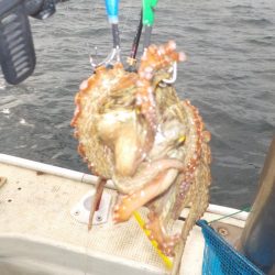 船タコ最終戦〜盛和丸〜