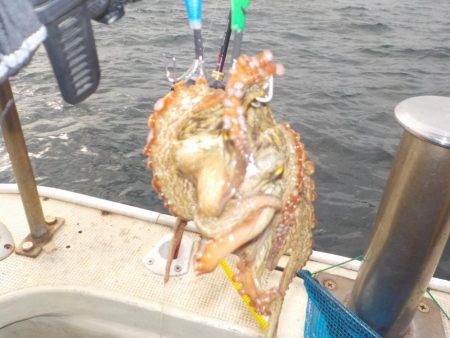 船タコ最終戦〜盛和丸〜