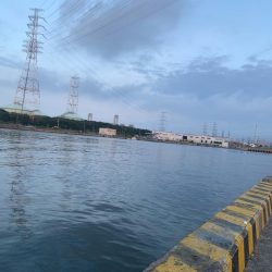 1年ぶりからの昨日ぶりのサビキ