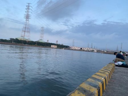 1年ぶりからの昨日ぶりのサビキ