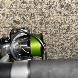 タコは気まぐれ 12