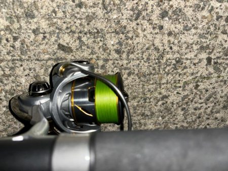 タコは気まぐれ 12