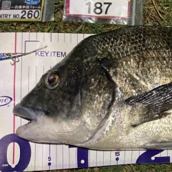 ナイトチニング