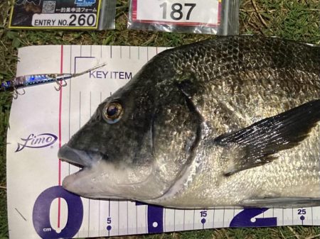 ナイトチニング