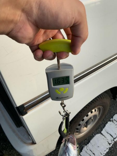 中潮･上げ潮･朝マズメ 相性抜群！