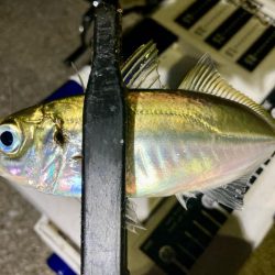 えッ! キスおった‼︎