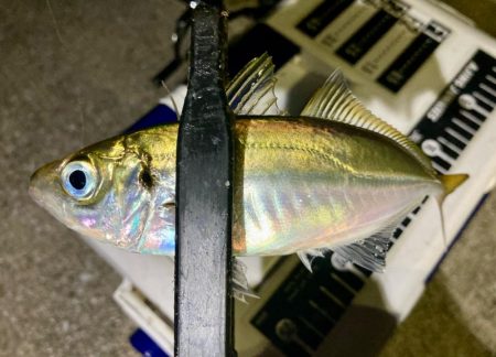 えッ! キスおった‼︎