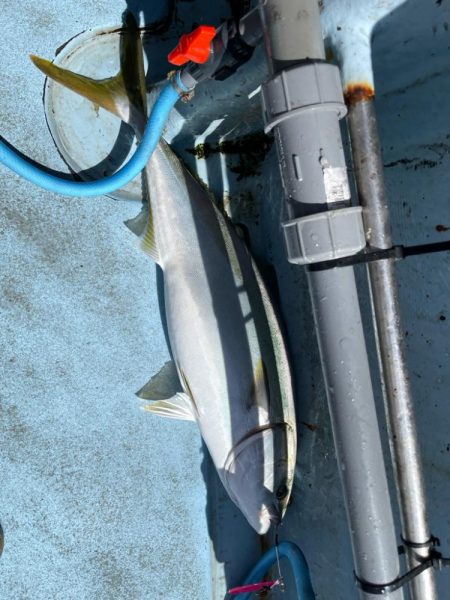 明石ジギング釣行