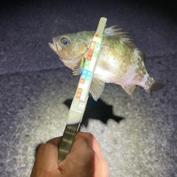 サーフでフロート〜