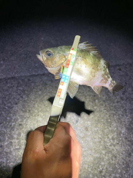 サーフでフロート〜