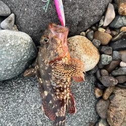 君じゃないんだけど、まあいいか