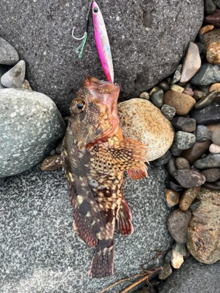 君じゃないんだけど、まあいいか