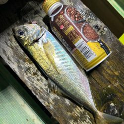 数は少ないですが4目達成！