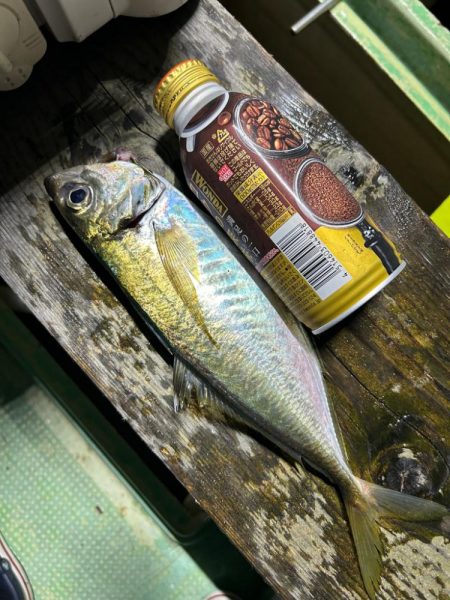 数は少ないですが4目達成！