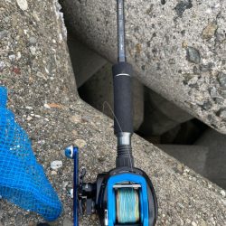 今季初タコ釣行渋め