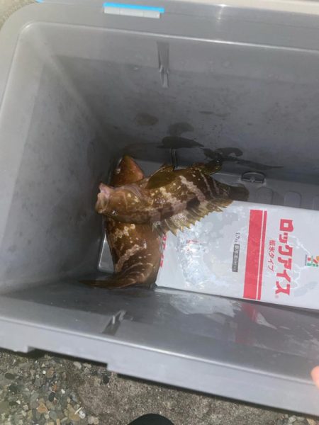 能生ロックフィッシュ