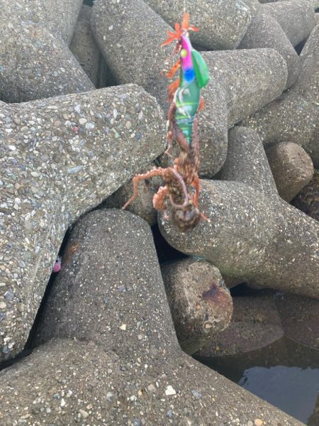 ⭐︎見切りどき